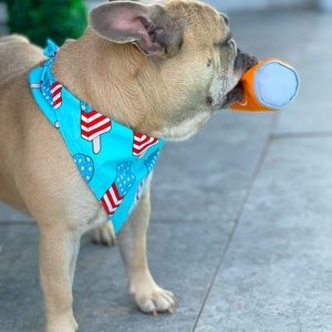 Fabulous Fido 4th of July Reversible Dog Bandana for Medium and Large Dogs